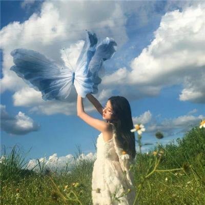 痴凤登龙